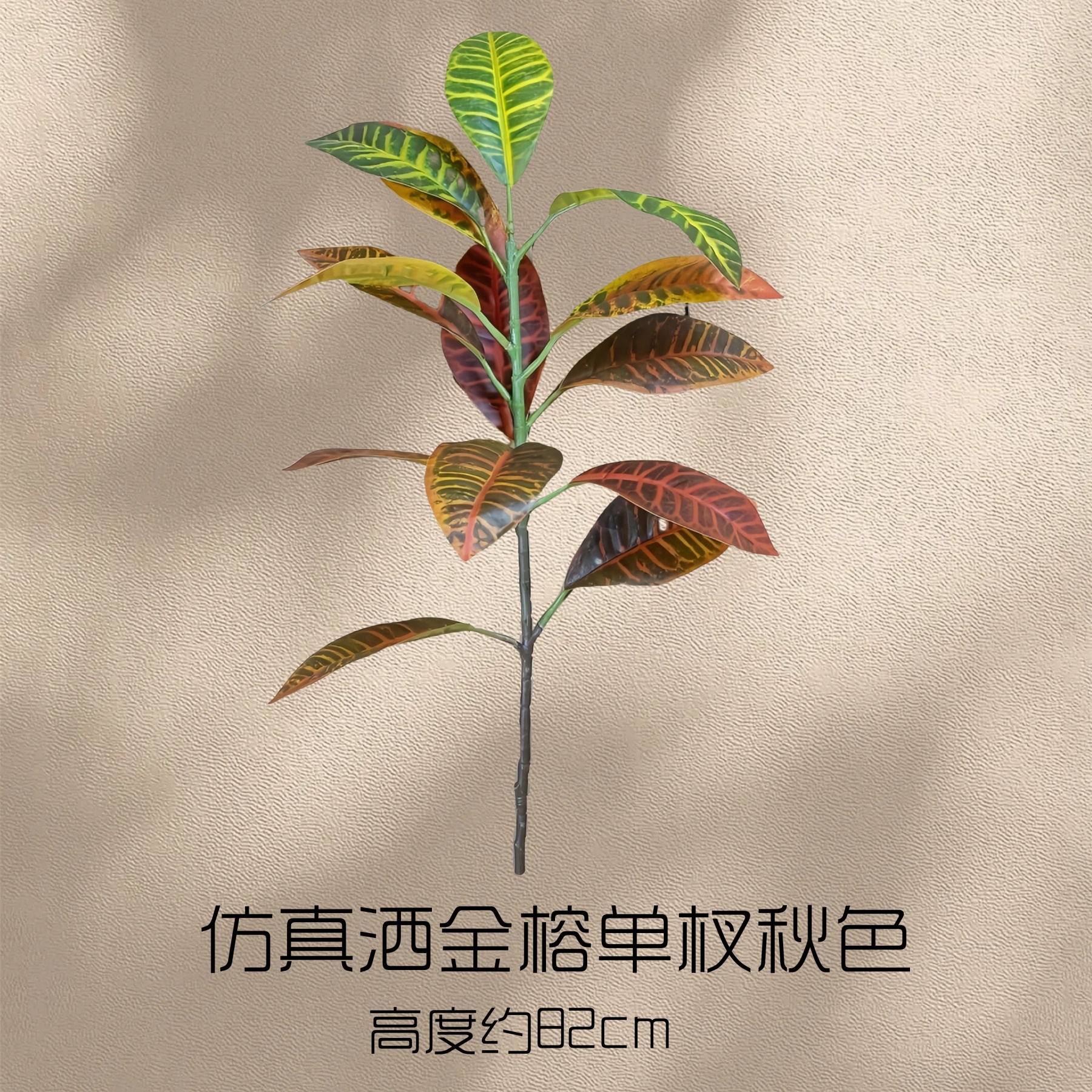 A Single Golden Banyan Tree in Autumn Color