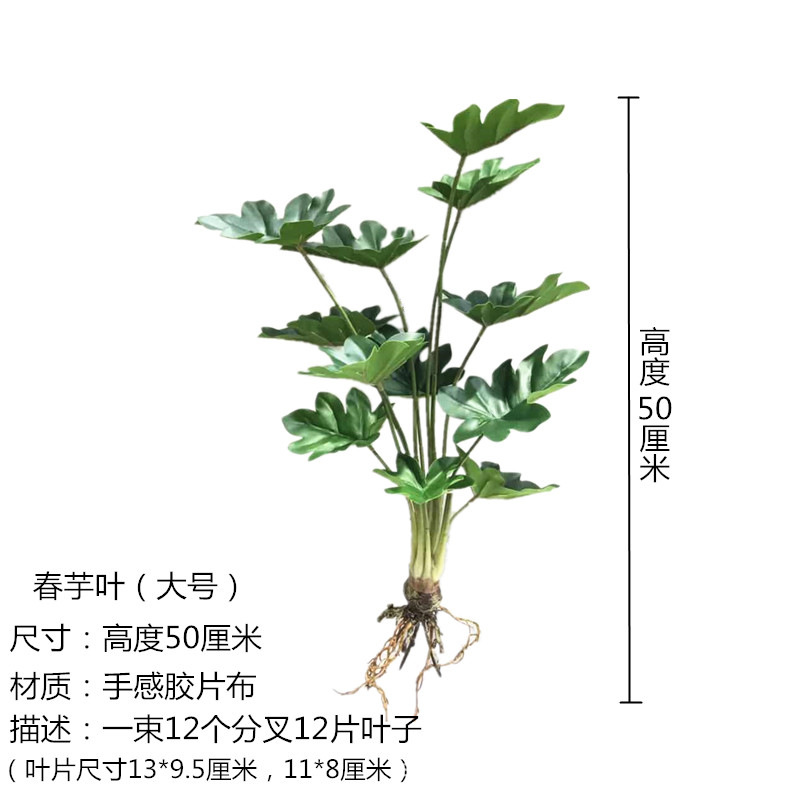 Spring Taro Leaves Large Size