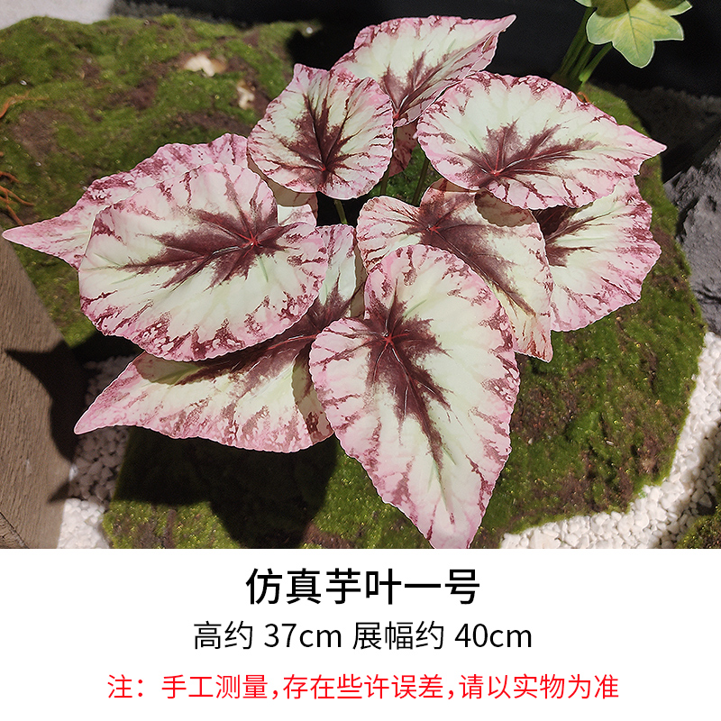 Taro Leaf No. 1/Height 37cm, Width 40cm