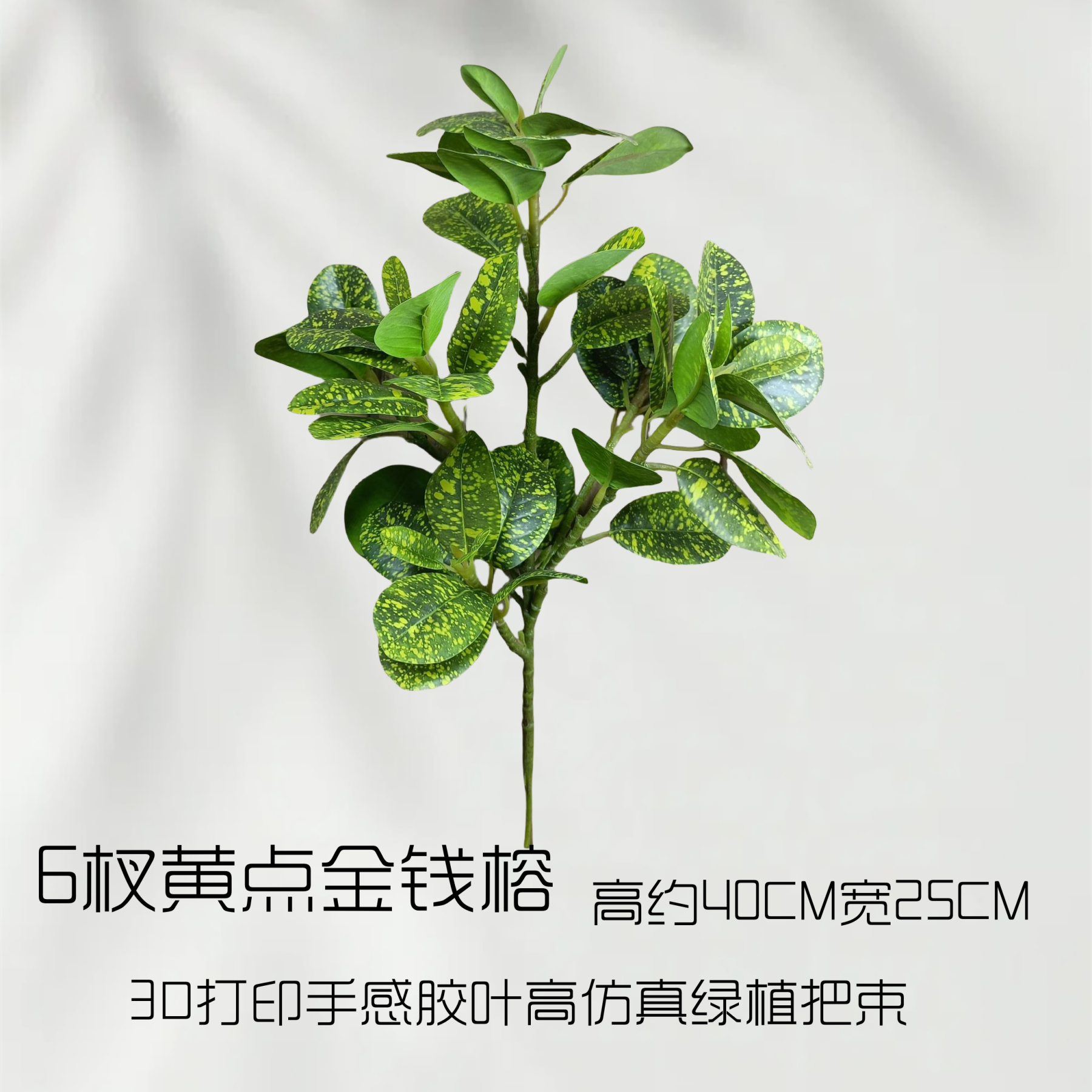 6 Branches of Yellow-Spotted Money Banyan