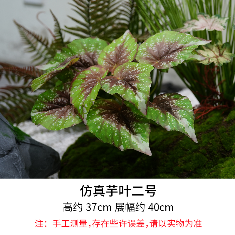 Taro Leaf No. 2/Height 37cm, Width 40cm