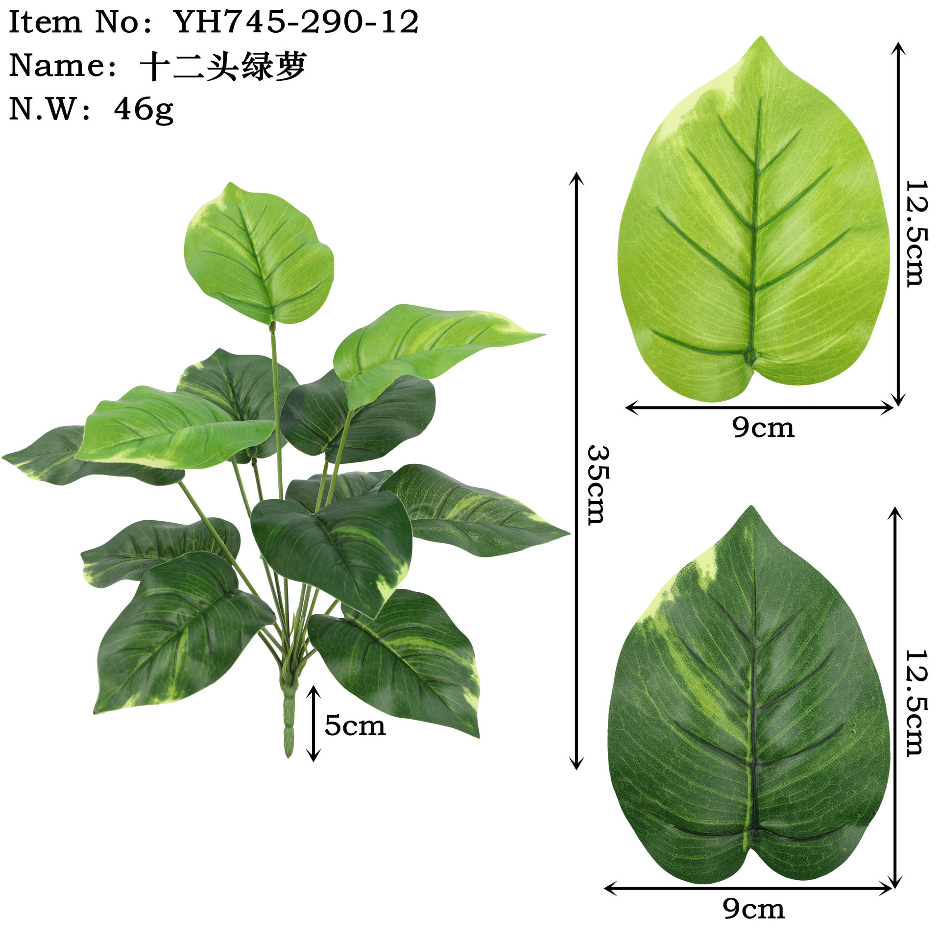Yh745-290-12 Twelve-Headed Pothos