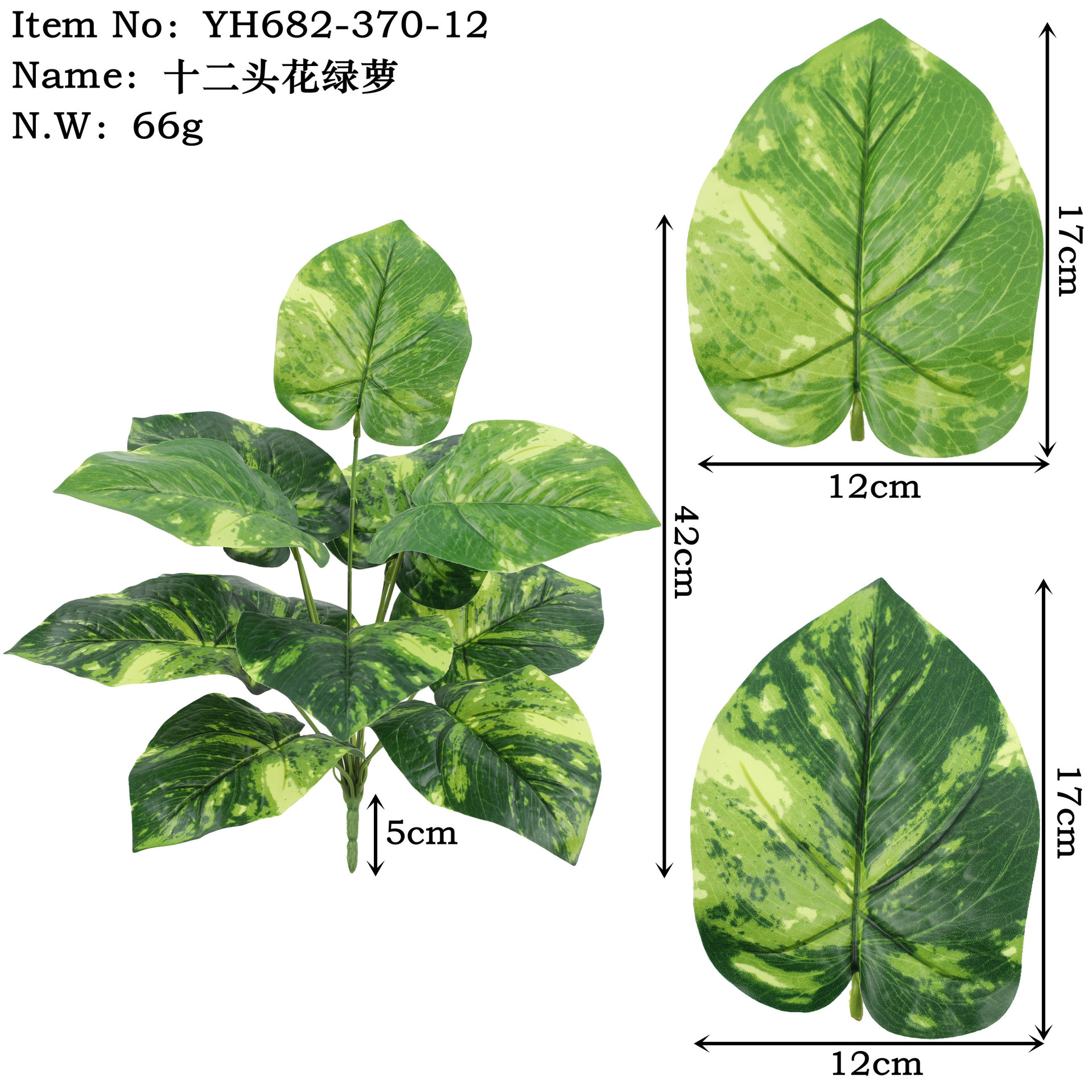 Yh682-370-12 Twelve-Headed Flower Pothos