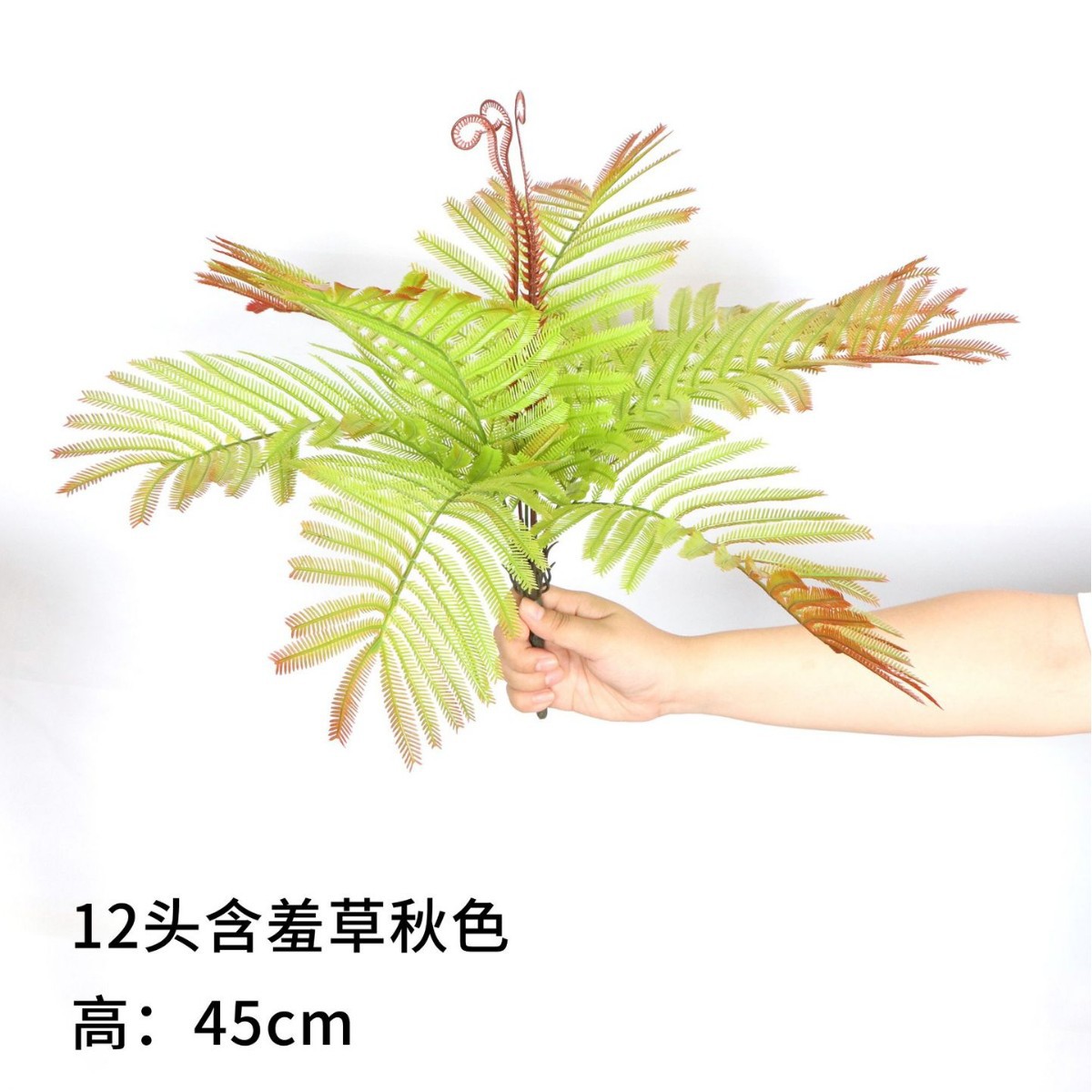 12 Mimosa Autumn Colors 45cm