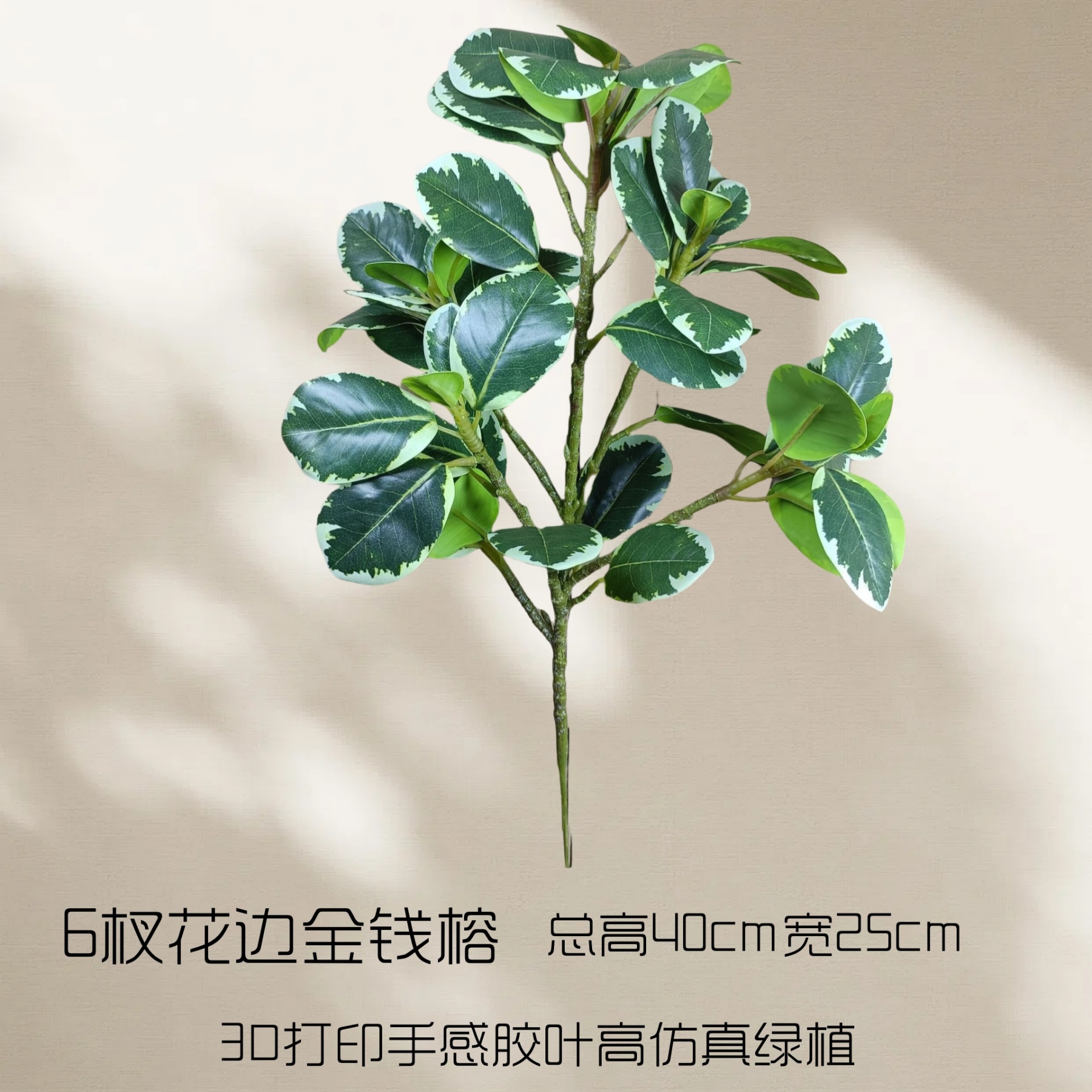 6 Branches of Lace Money Banyan