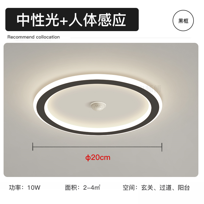 Round Style-Φ20Cm-Neutral Light (Natural Light)-Black Frame