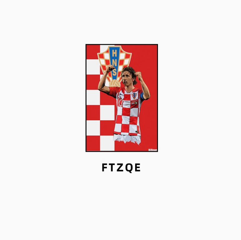 FTZQ-E