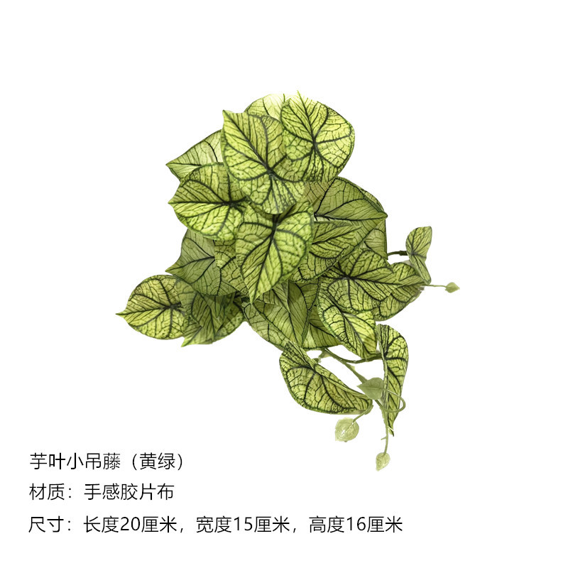 taro leaves small hanging vine (yellow green)