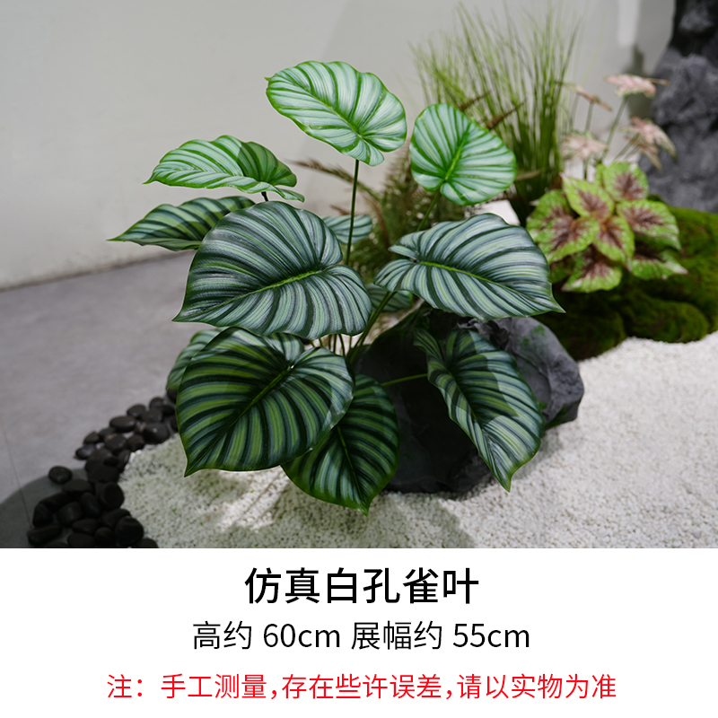 White Peacock Leaf/Height 60cm, Width 55cm