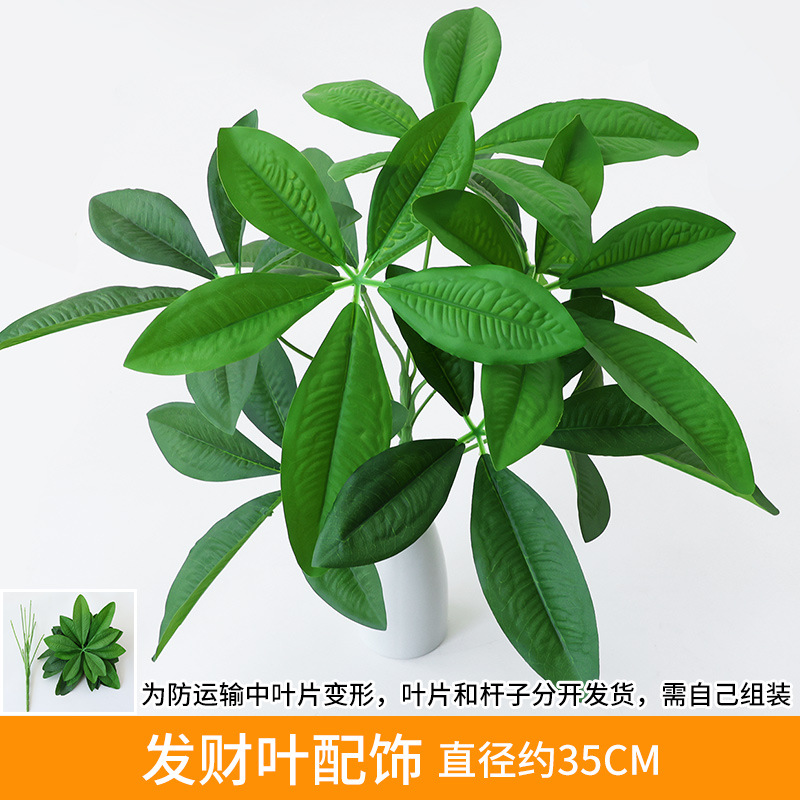 Fortune Leaf Accessories