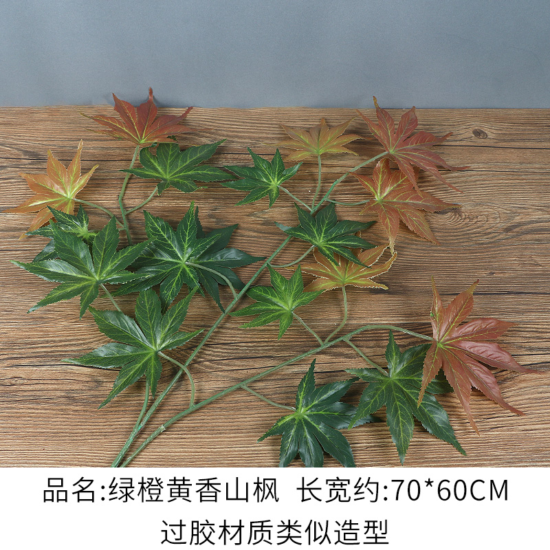 Laminated Material Green Orange Yellow Xiangshan Maple