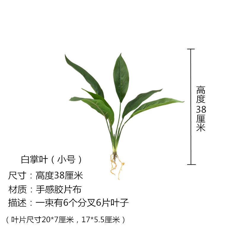 White Palm Leaf Trumpet