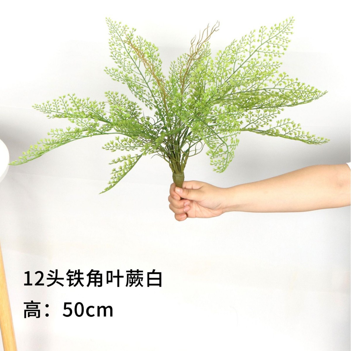 12 Iron Horn Ferns White 50cm