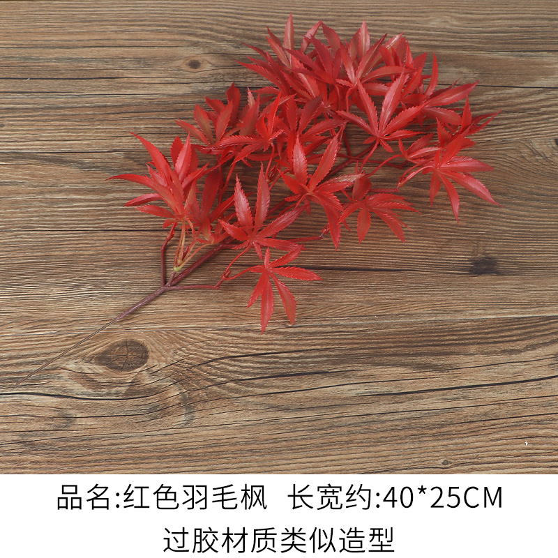 Laminated Material Red Feather Maple