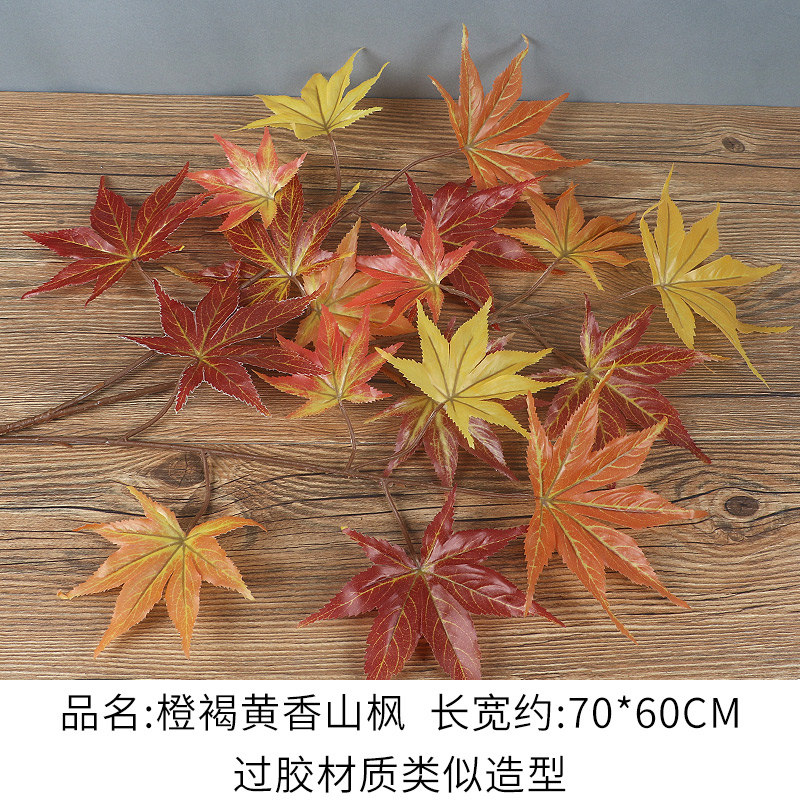 Laminated Material Orange Brown Yellow Xiangshan Maple