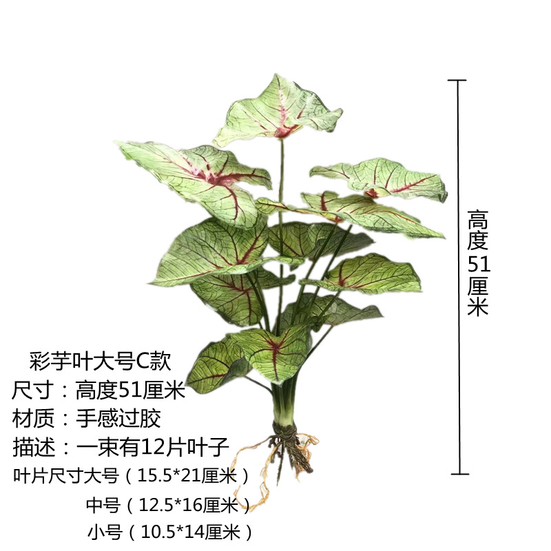 Large C-Style Taro Leaf