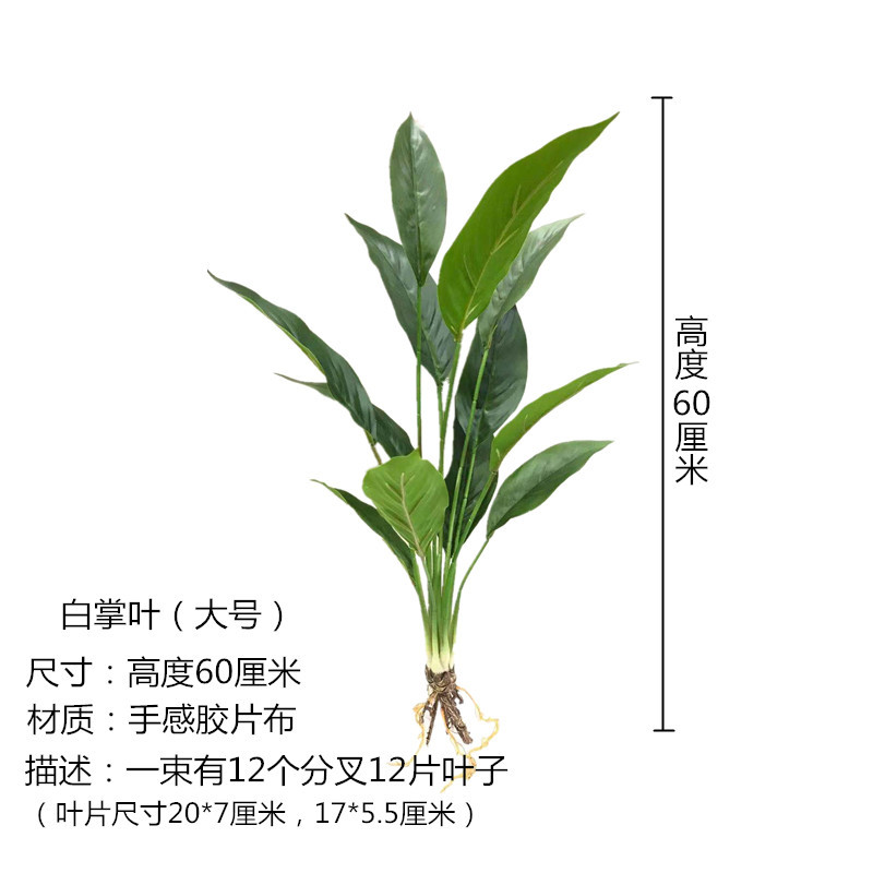 White Palm Leaf Large Size