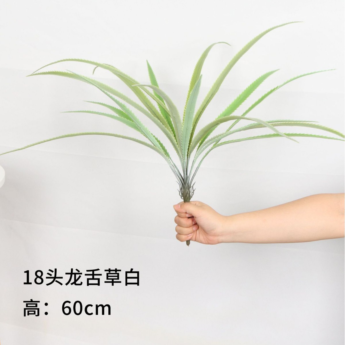18 Heads of Dragon Tongue Grass White 60cm