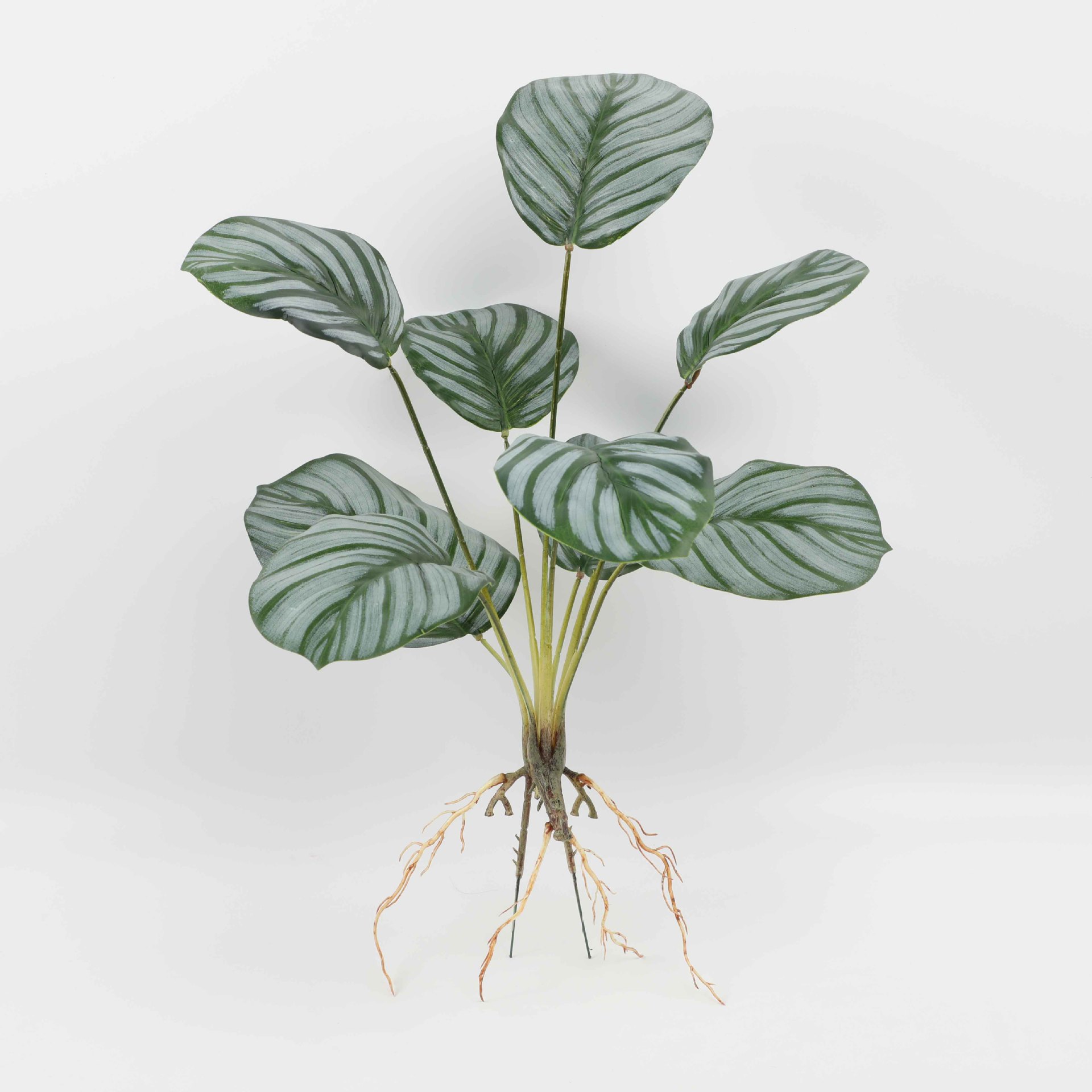 Nine-Headed Green Apple Yh895-570-9