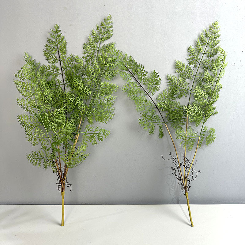 5 Pieces of Golden Fern