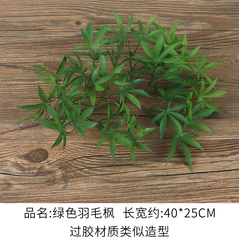 Laminated Material Green Feather Maple