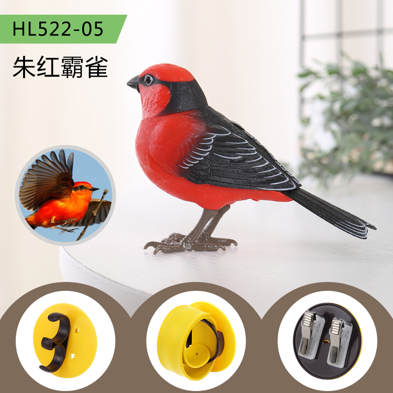 HL522-05 scarlet bully Finch 