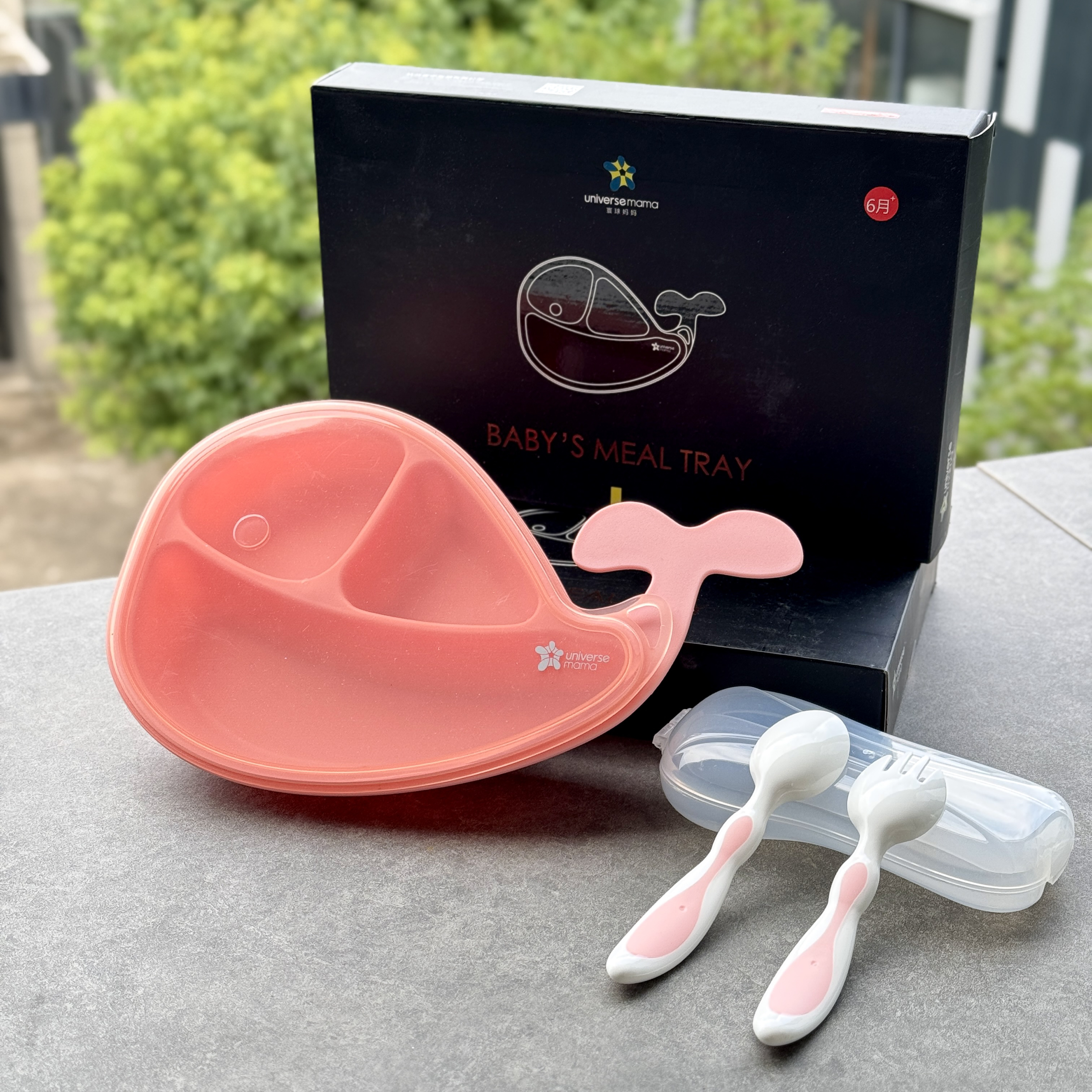 Pink Whale Dinner Plate and Cutlery