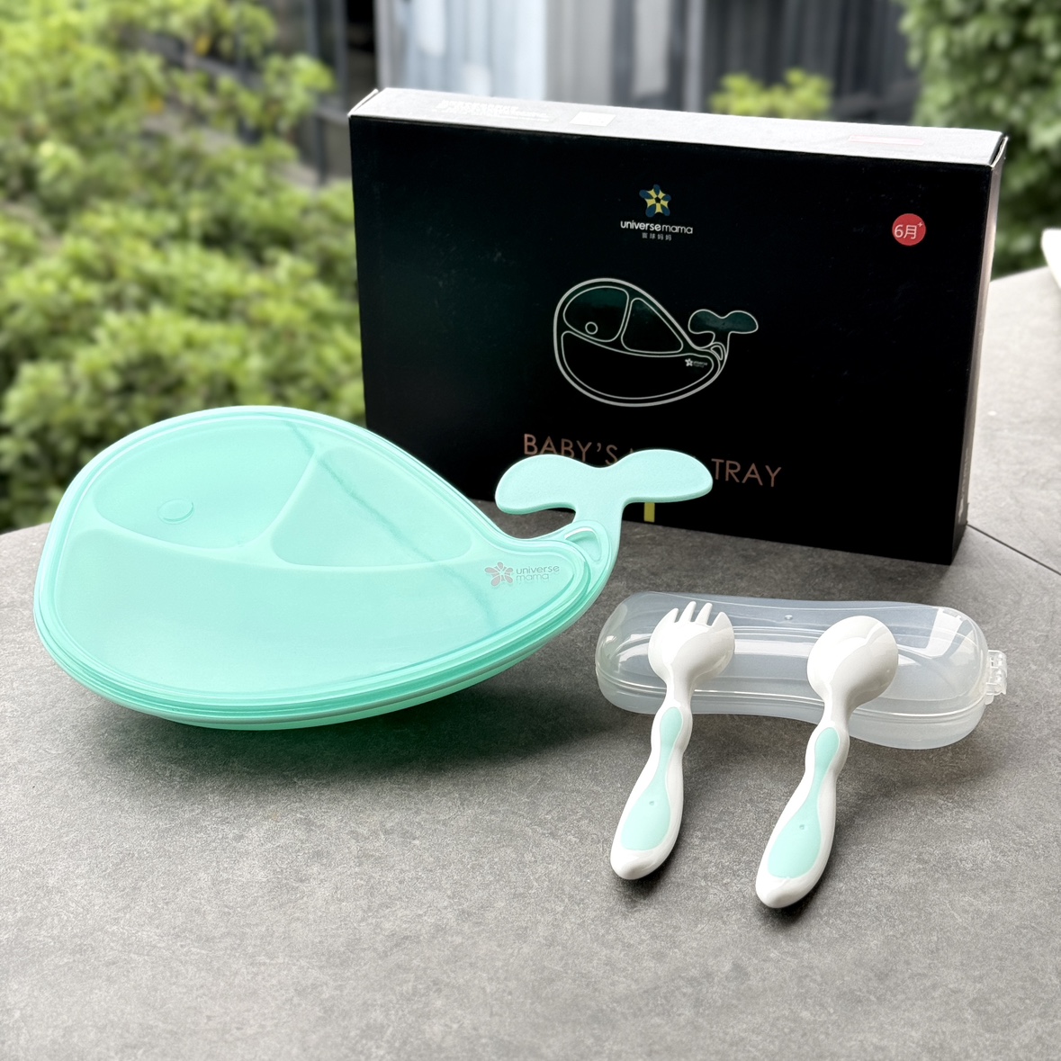 Green Whale Dinner Plate and Cutlery