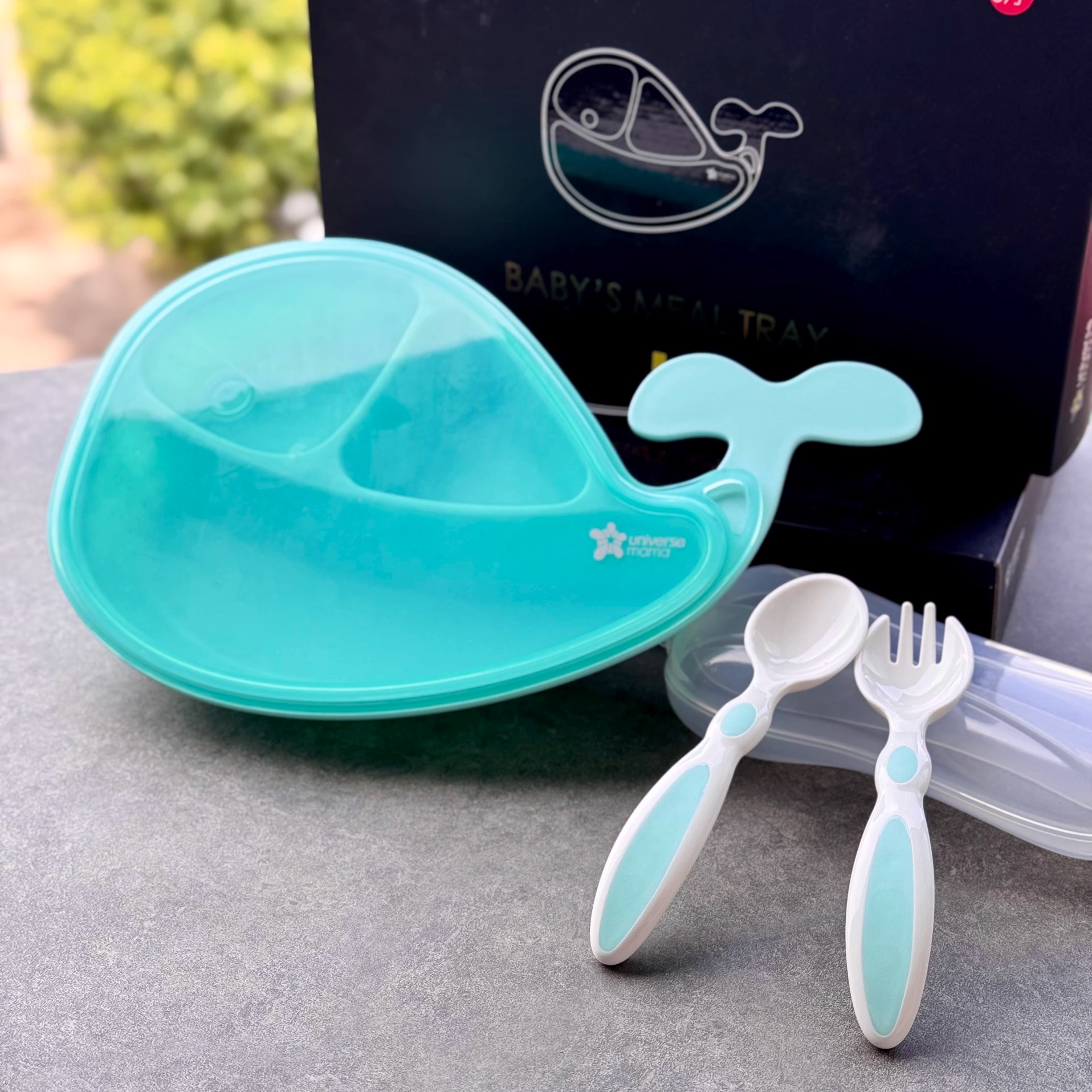 Green Whale Dinner Plate and Cutlery