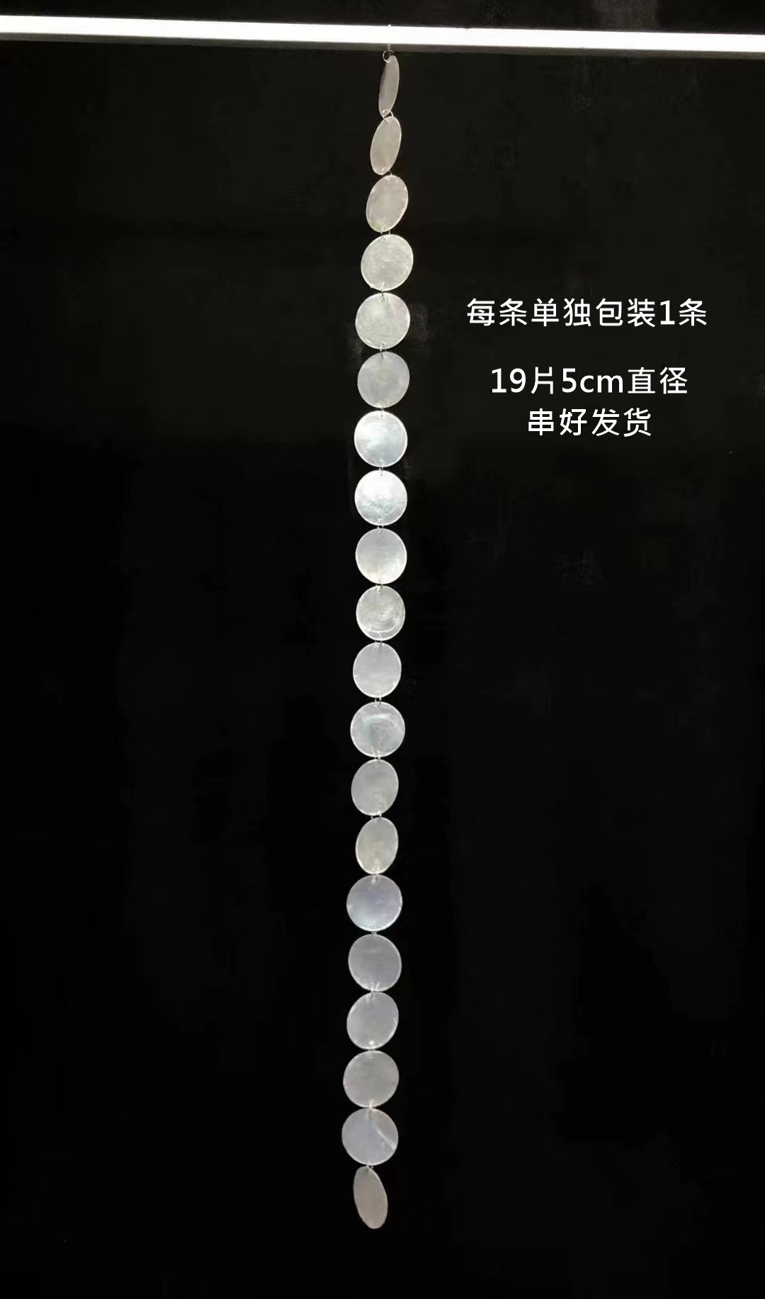 Fritillary Slices 1 Piece 19 Pieces 5cm Diameter