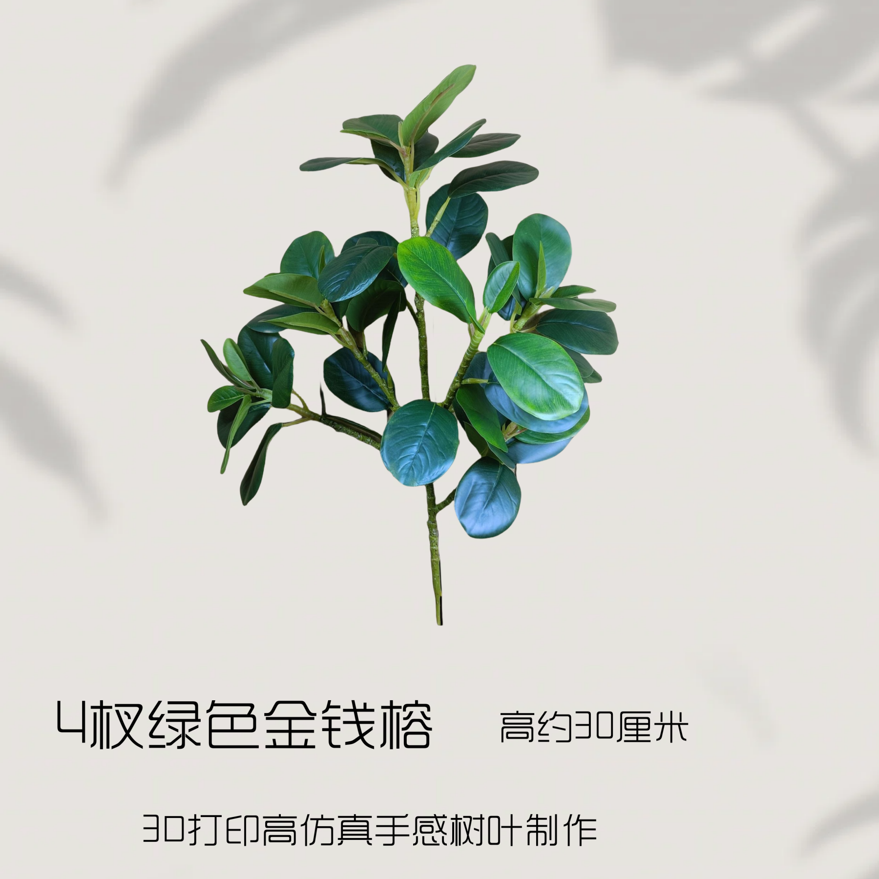 4 Branches of Money Banyan Green