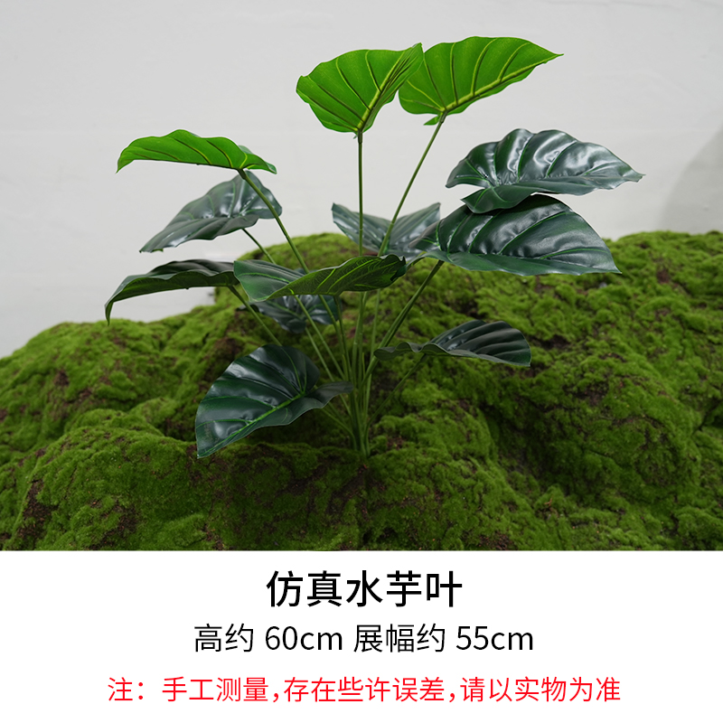 Water Taro Leaves/Height 60cm, Width 55cm