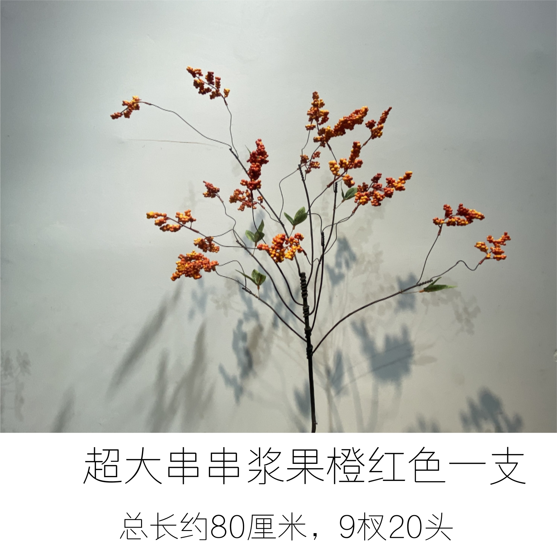 A Large Orange Berry