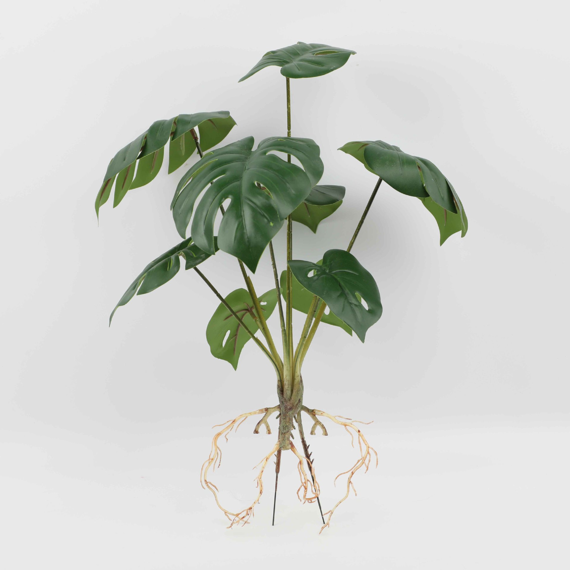 Nine-Headed Dark Pattern Turtle Back Yh899-520-9