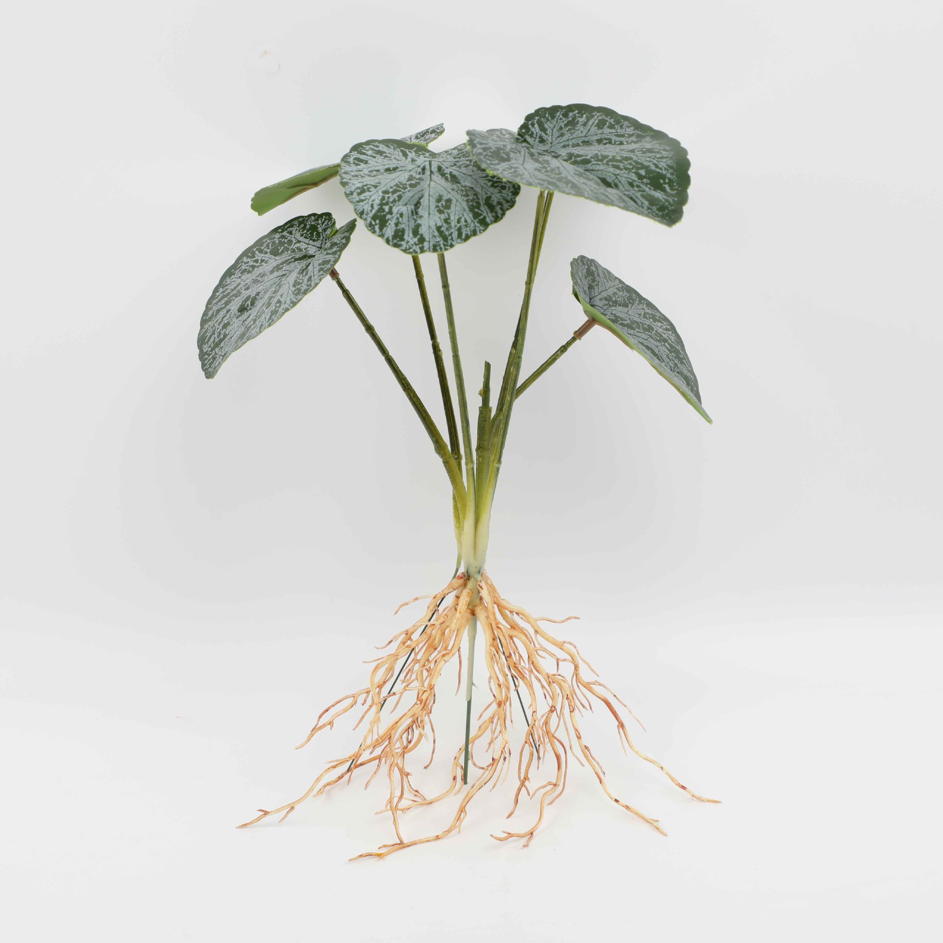 Six-Headed Flower Crabapple Yh916-350-6