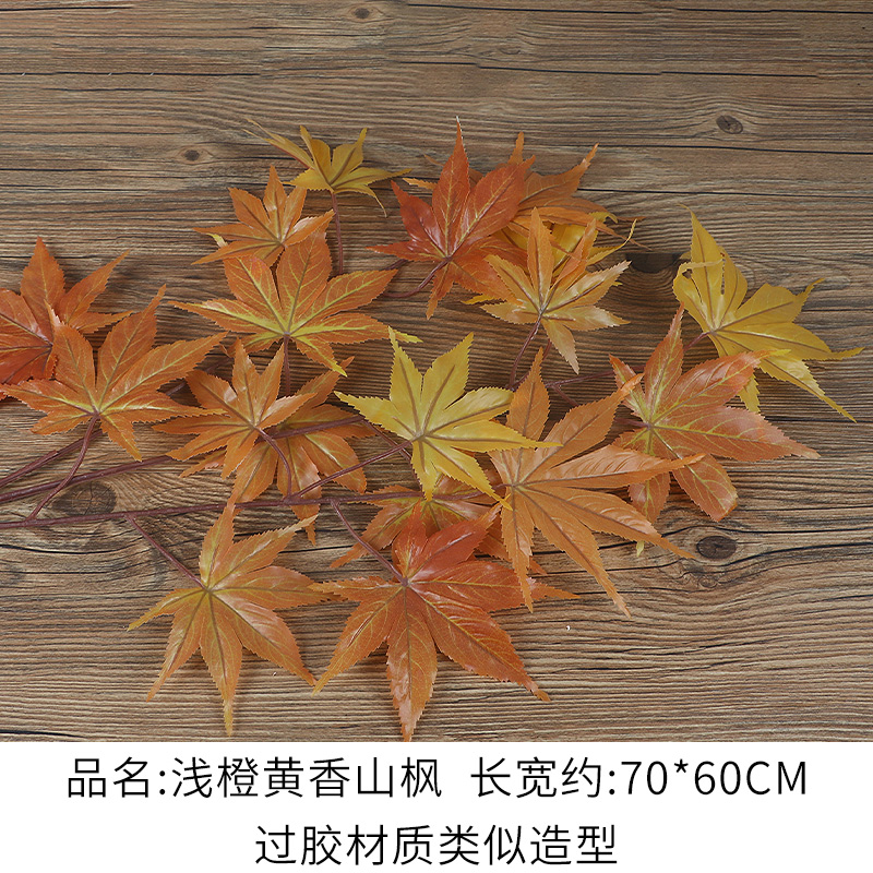 Laminated Material Light Orange Yellow Xiangshan Maple