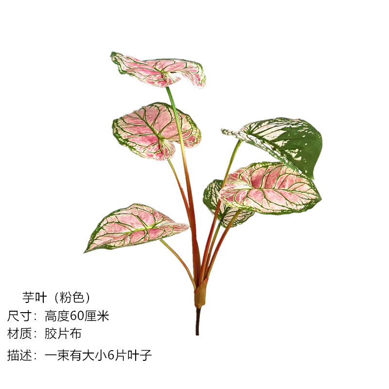 6 Forks of Taro Leaves (Pink)