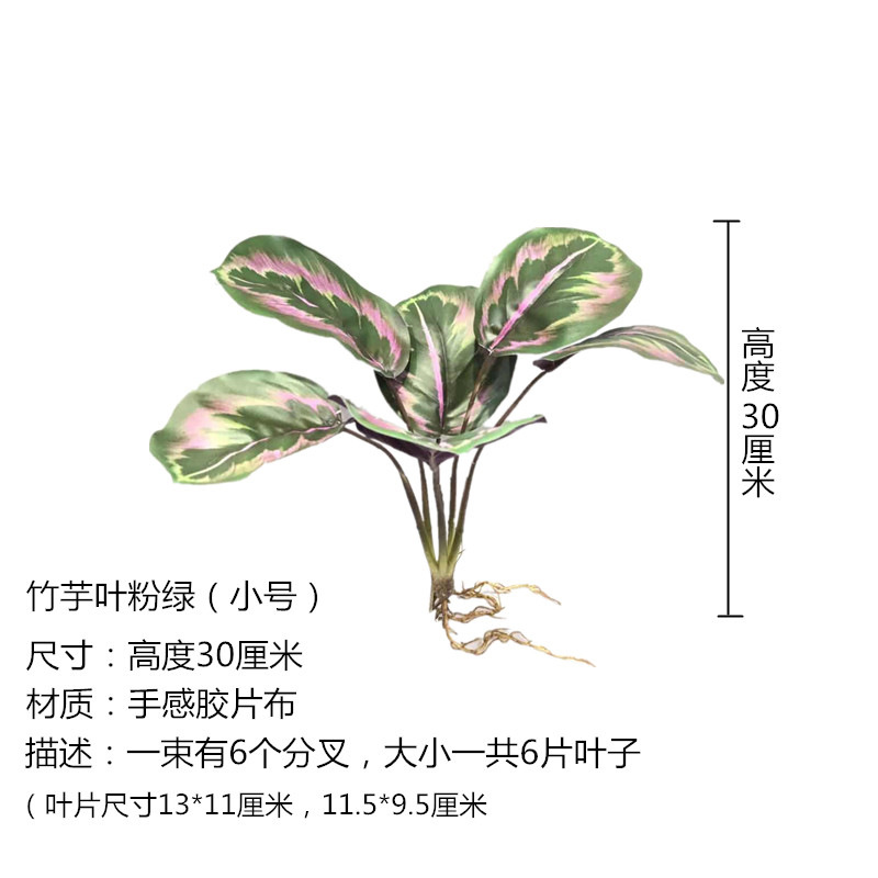 Bamboo Leaf Pink Green Trumpet