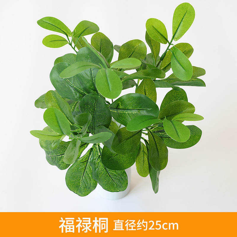 Fulu Tong Accessories