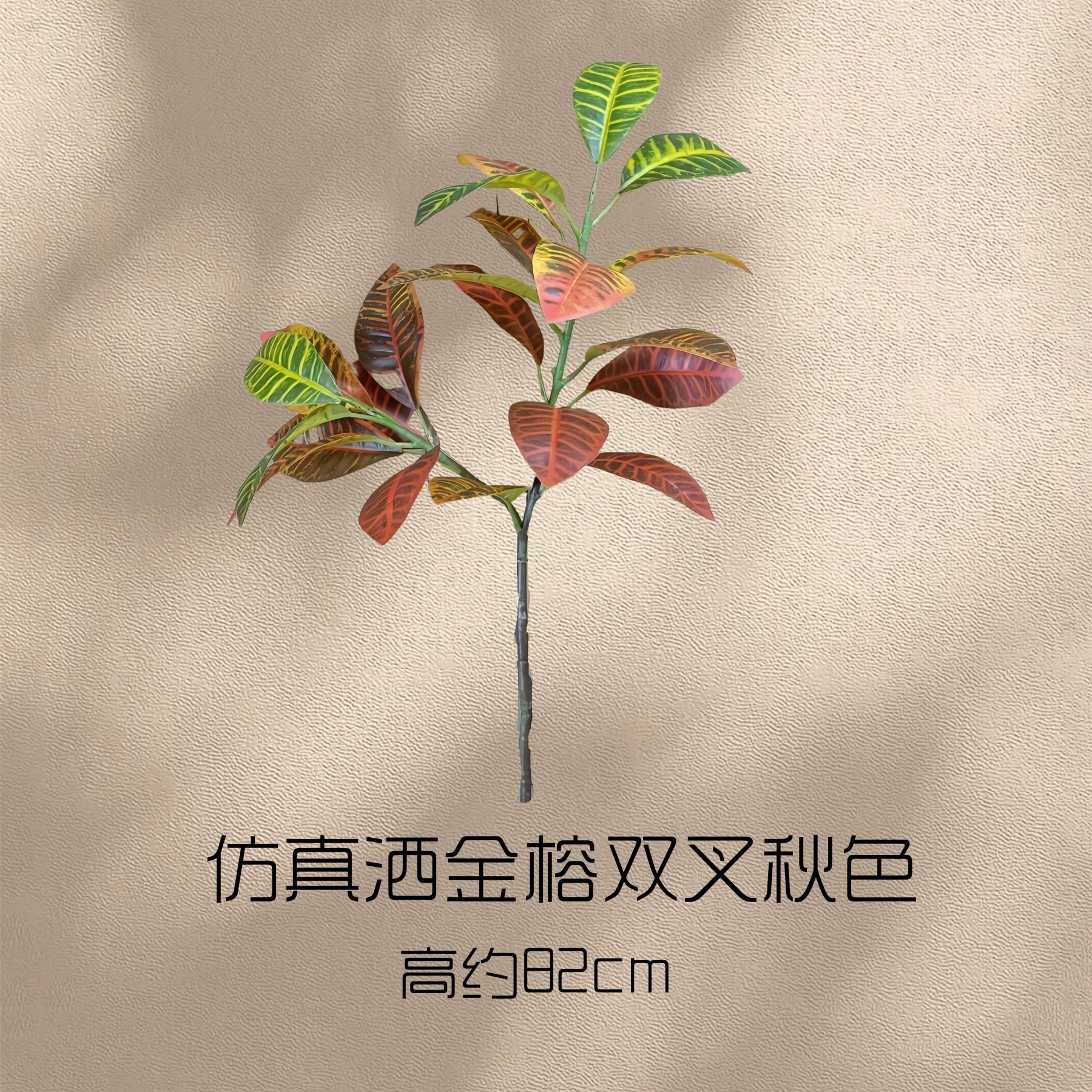 A Branch of Golden-Barked Banyan Tree with Autumn Colors