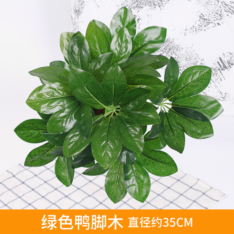 Green Duck Foot Wood