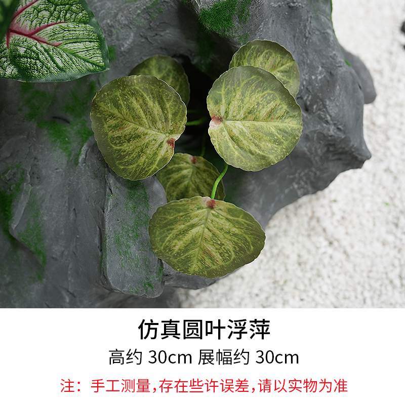 Round Leaf Duckweed/Height 30cm, Width 30cm