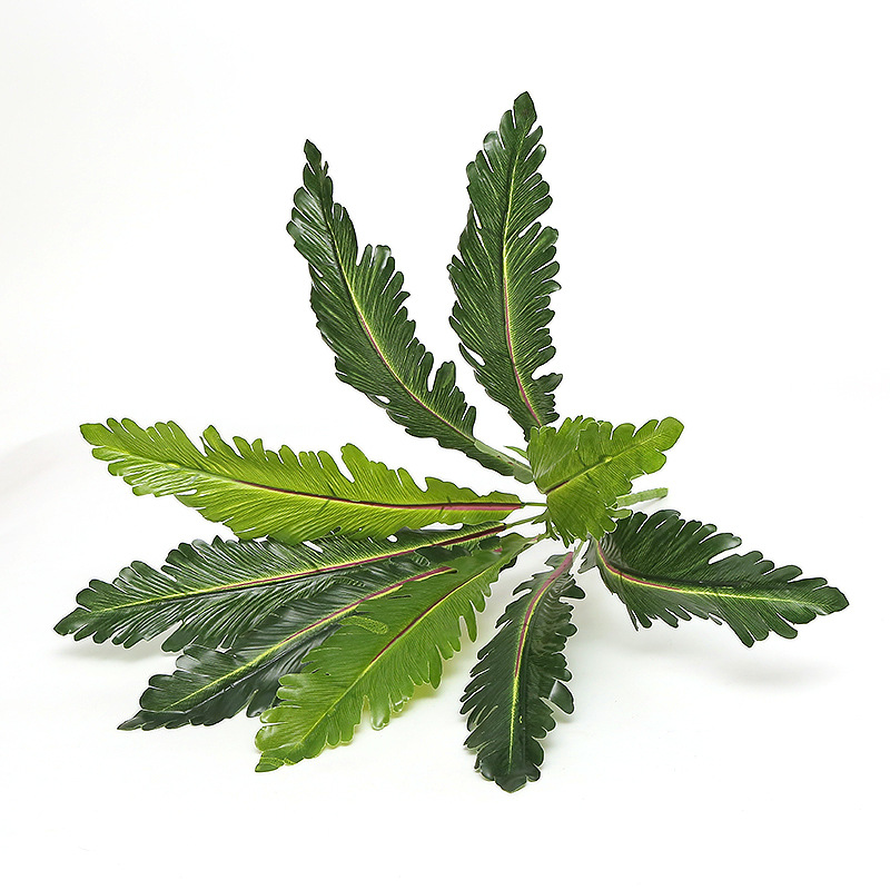 9 fork Peacock leaves