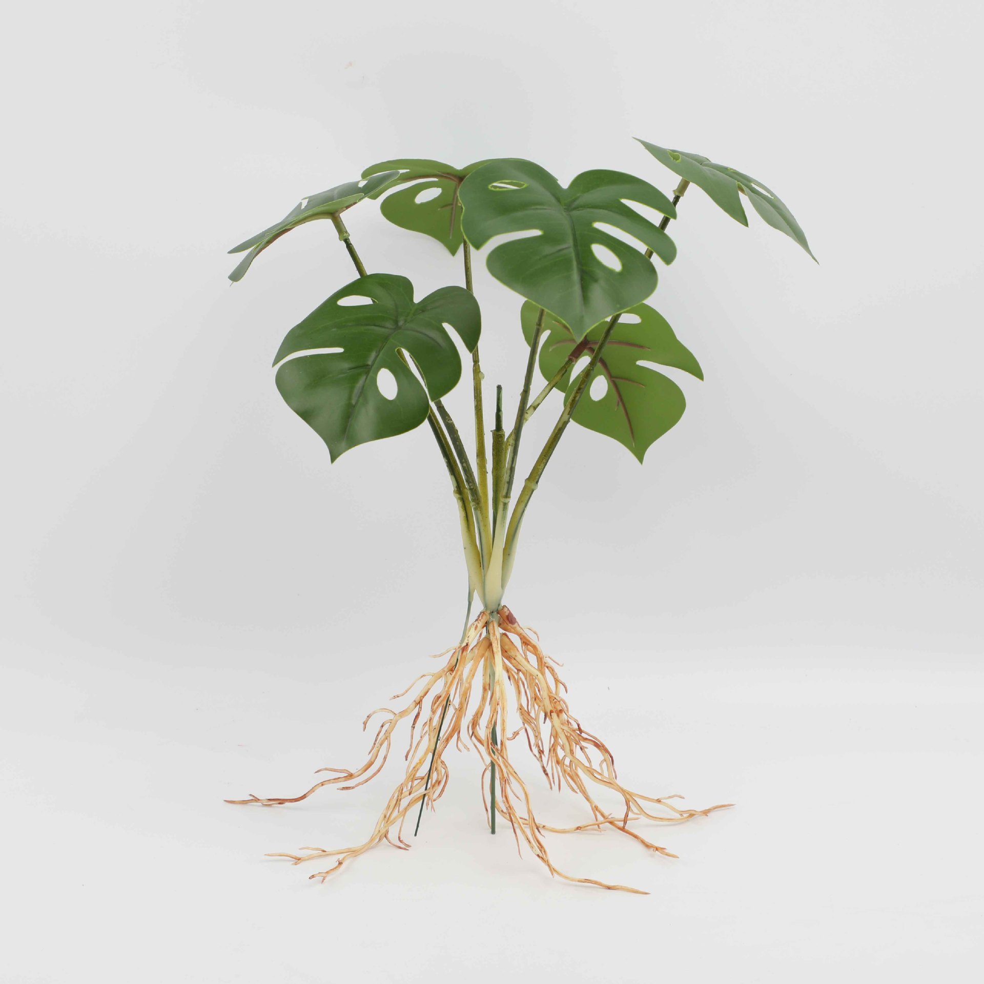 Six-Headed Dark Pattern Turtle Back Yh918-360-6