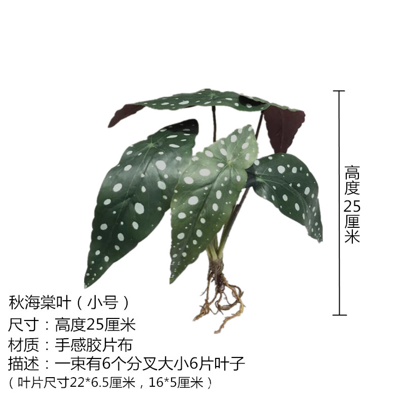 Begonia Leaf Trumpet