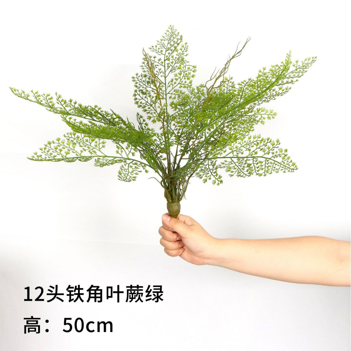 12 Iron Horn Fern Green 50cm