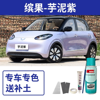 paint in ice plum pink, and — Avtomobil boya qələmləri - bingo-taro-purple-includes-soil-and-tools