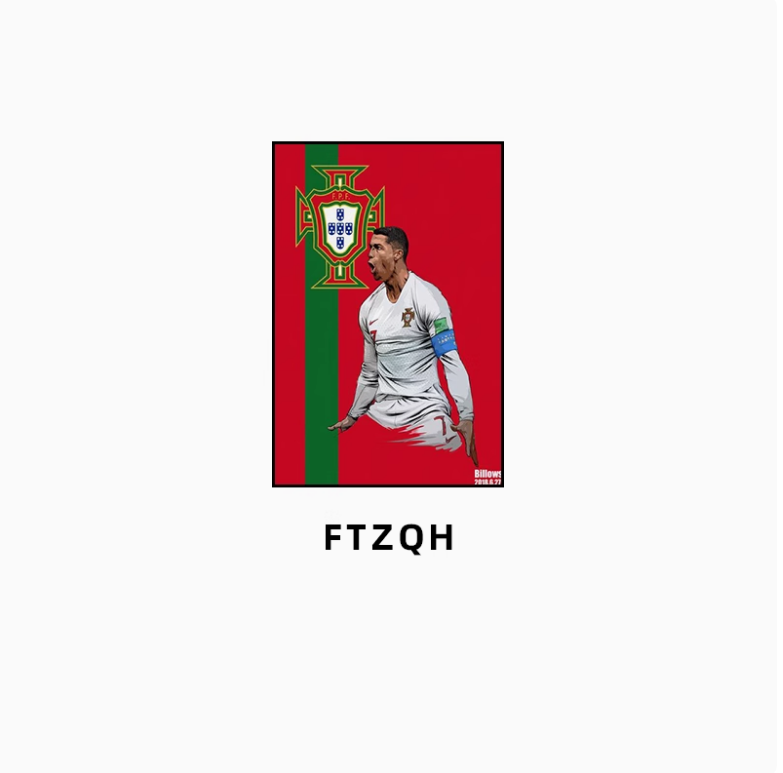 FTZQ-H