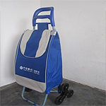 ������� ��¥���ﳵ