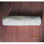 ����˹������